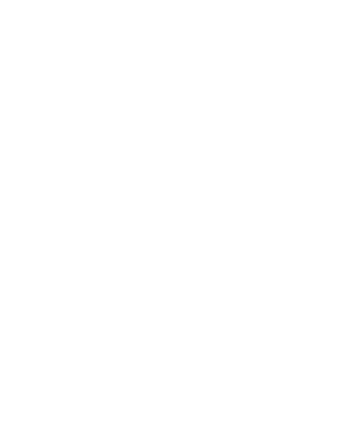 Neura-Logic AI